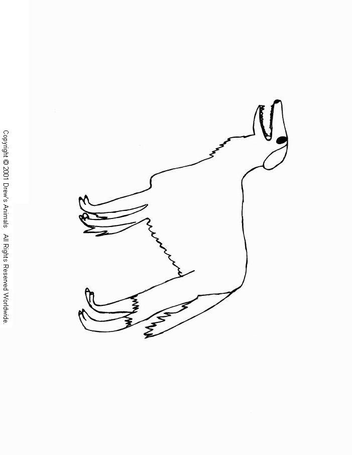 animal coloring page