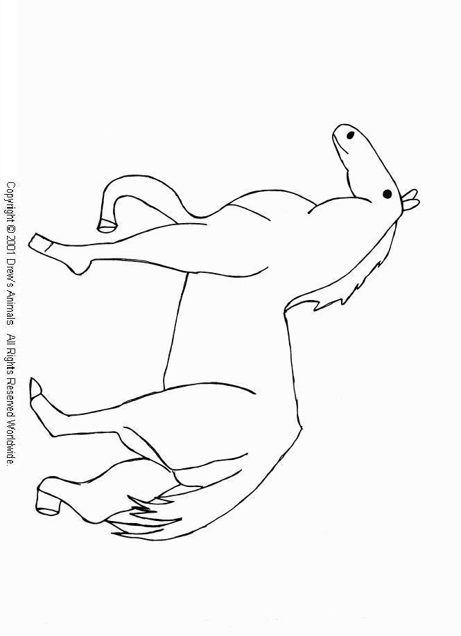 animal coloring page