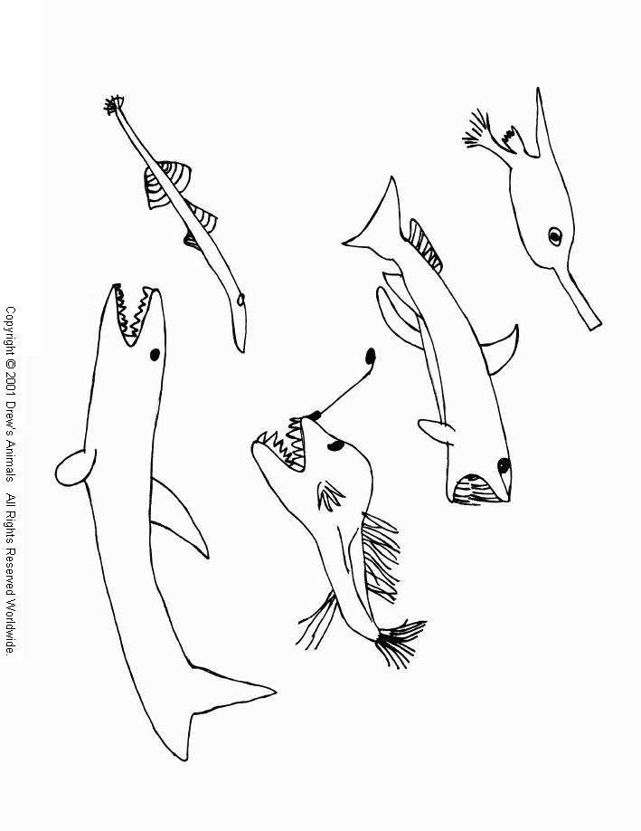 animal coloring page