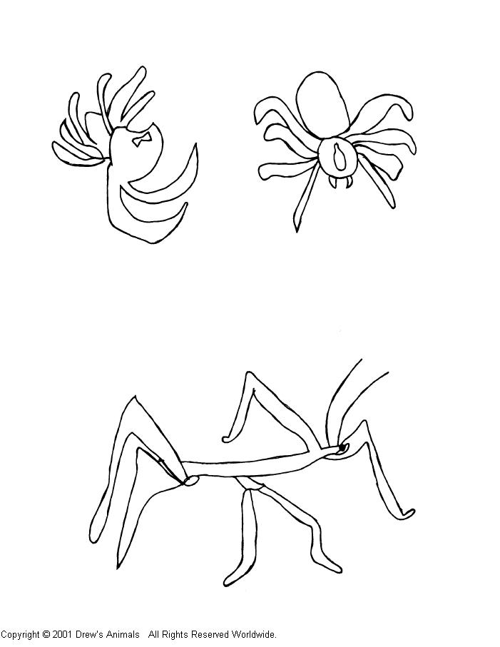 animal coloring page