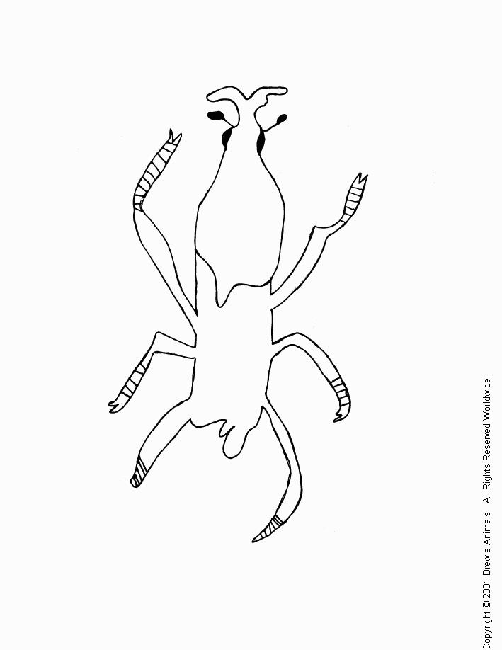 animal coloring page