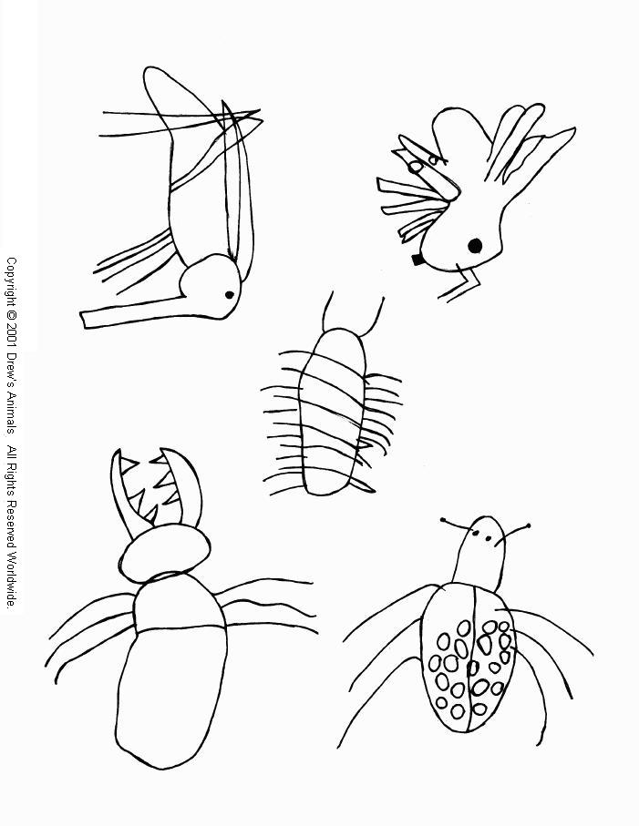 animal coloring page