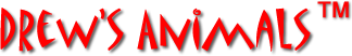 Drew's Animmals logo